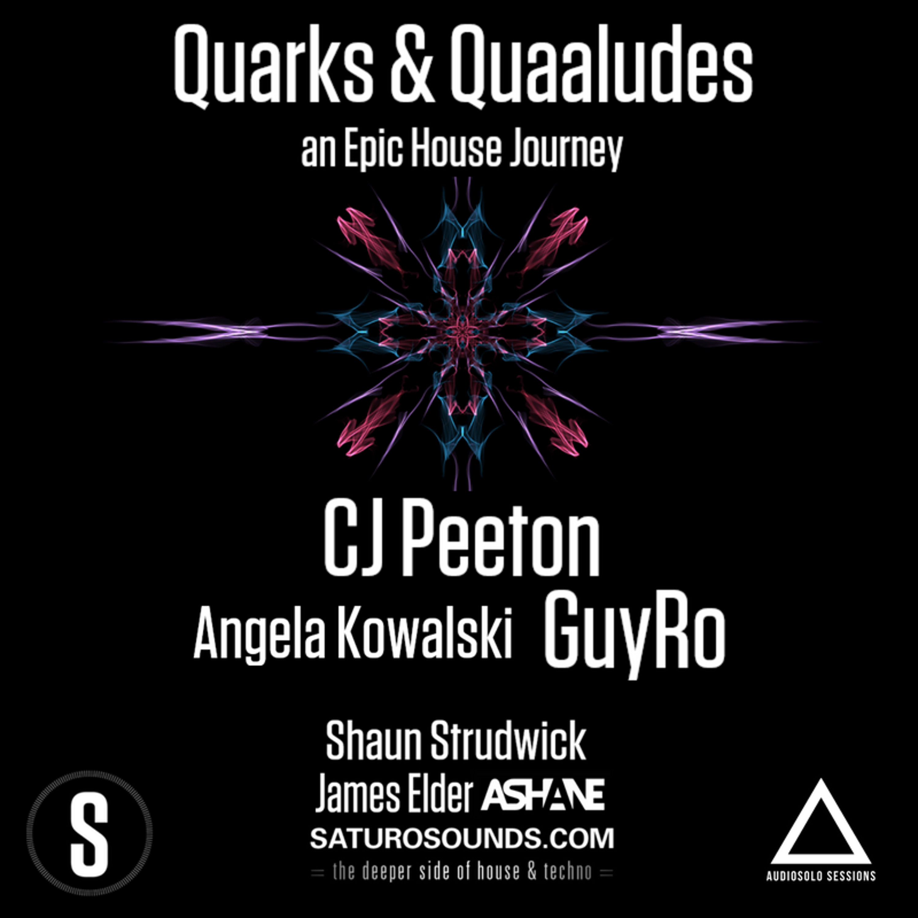 Quarks & Quaaludes #EpicHouseJourney