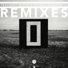 President Bongo, Ottar Saemundsen - Quadrante (Yotam Avni Remix)