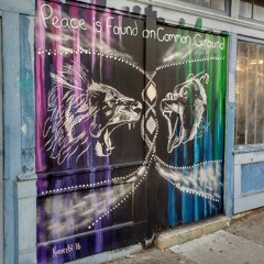 Team BDLD: To The Horizon And Home Again (2018 Radio Race)