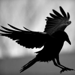 LLego Volando (edit)