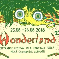 24082018_Wonderland_Festival_Chroma_DJ_Set_