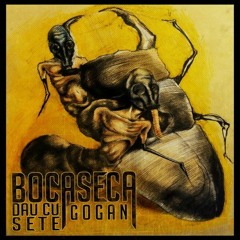 04. Bocaseca & Gogan - Las Mintea Goală