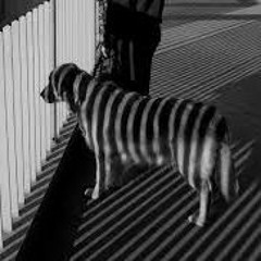 Zebradog and the gap between structur. yeah lets just meet at like 16pm that would be nice :)