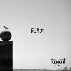 BIRDS (PROD TOONIGHT)