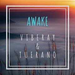VibeRay & Tuerano - Awake