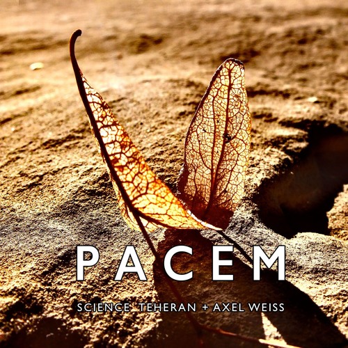 Pacem (Axel Weiss & Science Teheran)