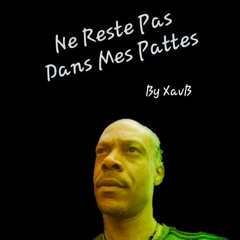 Ne Restes Pas Dans Mes Pattes By XavB