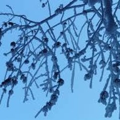 ｉｔ　ｗｏｎ＇ｔ　ｌｅｔ　ｍｅ　ｄｏｗｎ