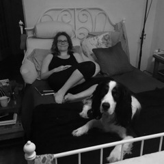 KCRW Radio Race 2018: Through Windows