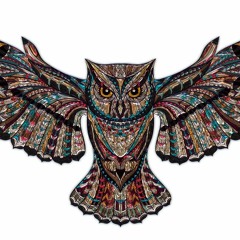OwlsAlight