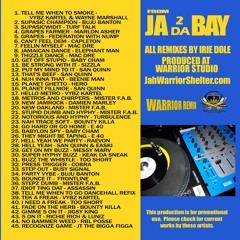 JA 2 DA BAY VOL 1 - DJ IRIE DOLE