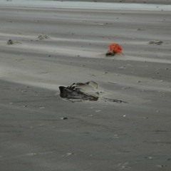 mad lubi & menqui @ fusion 2018 - karla's kutter part one