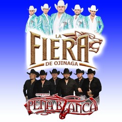La fiera de ojinaga vs Conjunto Peña blanca (Norteñas mix)