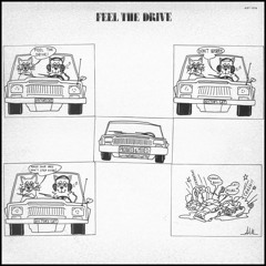 Feel The Drive  Doctor's Cat