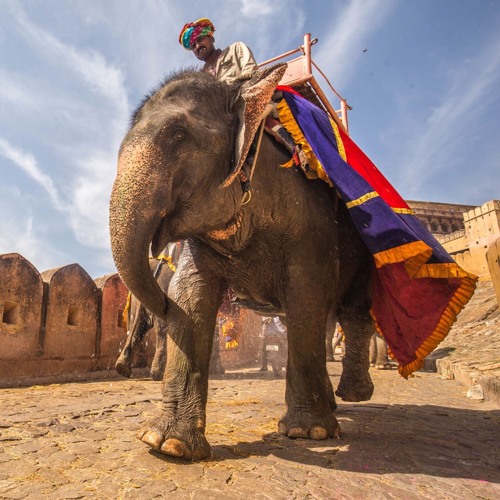 Journey to India