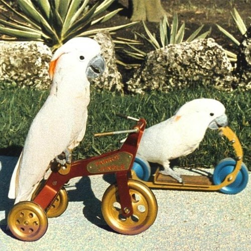 odds and ends from my desktop [ep]