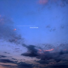 Fraunhofer Diffraction – Exaltation (Preview)