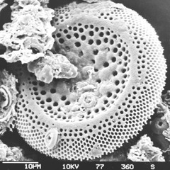 giffgenerator@thecrown 5 11 2017