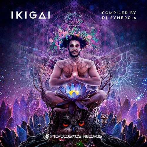 Astronaut Ape - The Spirit