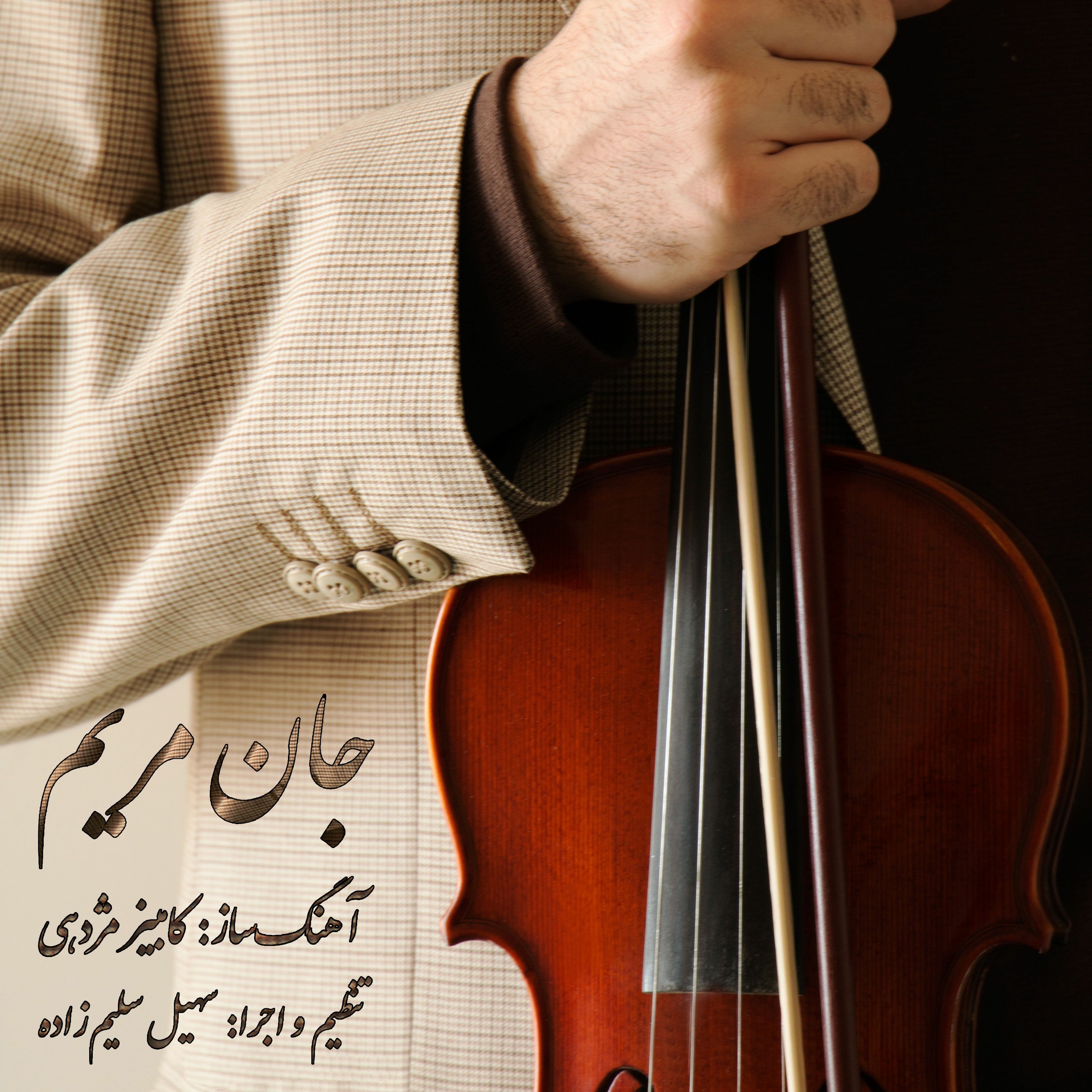Soheil Salimzadeh