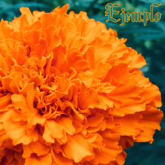 Ejemplo (prod. zeeky)