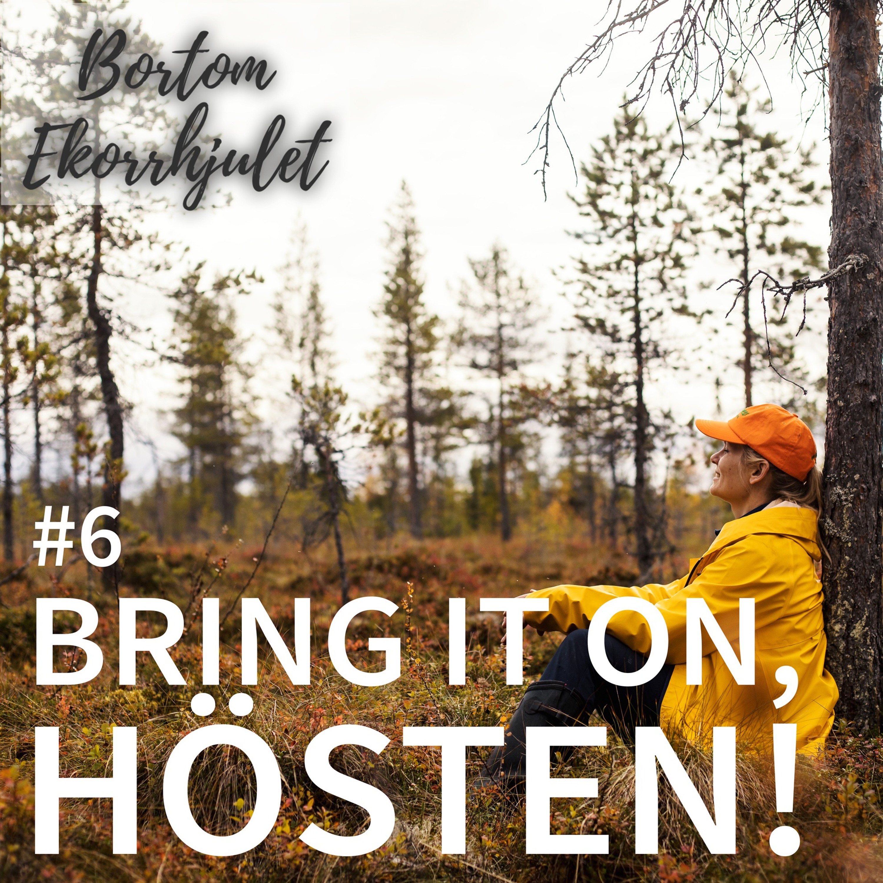 Bortom ekorrhjulet