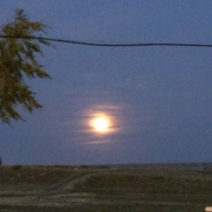 Bellbottom blues (E. C. cover)