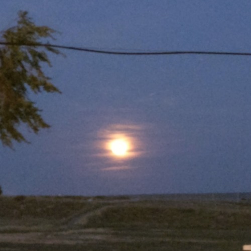 Bellbottom blues (E. C. cover)