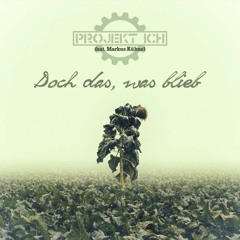 Projekt Ich (Remixe)