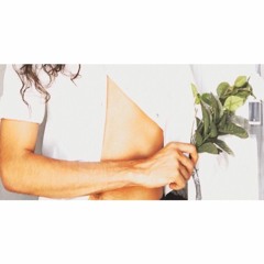 Sliver Silver Sliver ( demo)