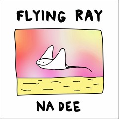 Flying Ray