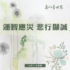 真心看世界20180827【運智應災 悲行顯誠】