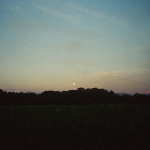 perfect blue (full tape on bandcamp)