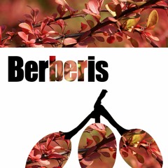 BRS 198 Herman Saiz - Anitya Bhavana (Original Mix) preview