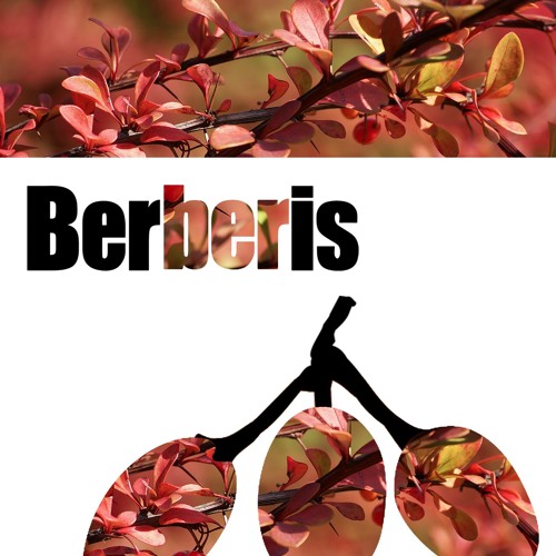 BRS 198 Herman Saiz - Anitya Bhavana (Original Mix) preview