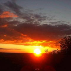 please trust your heart