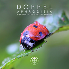 PREMIERE: Doppel - Aphrodisia (Original Mix) [Stone Seed]