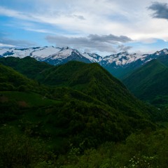 Dawn Chorus high in the French Pyrenees