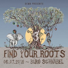 Find Your Roots#3