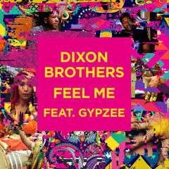The Dixon Bros ft. Gypzee - Feel Me