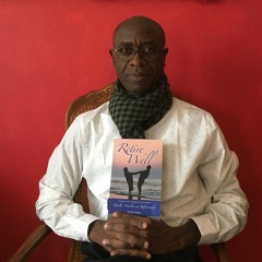 Karen Williams interviews Nii Boi-Dsane