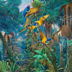 El Paraíso