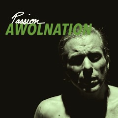 AWOLNATION - PASSION || C∆RL BRENNER LiveRemix
