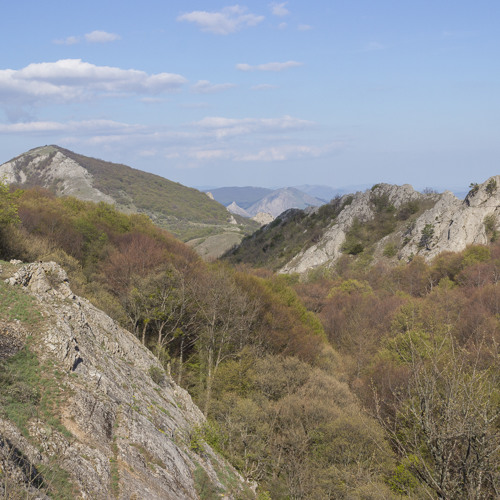 Crimea 2018 - screaming roe deer