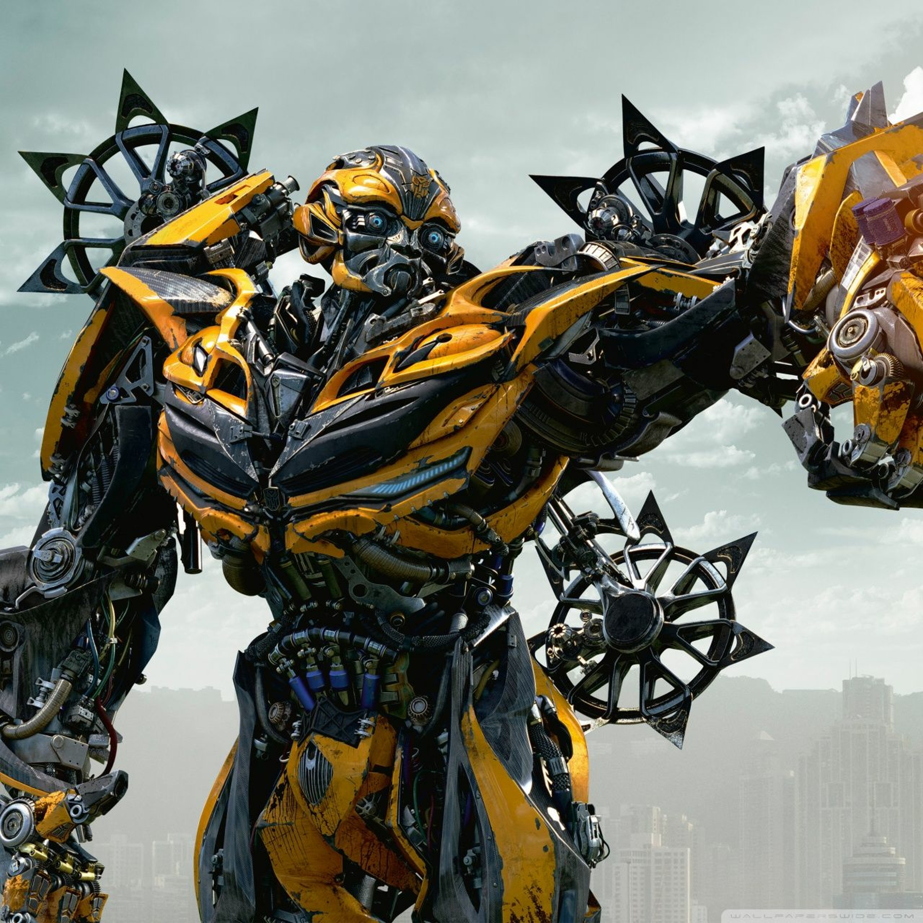 Bumblebee Spinoff episode artwork