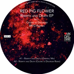 VBS03 Red Pig Flower - Rebirth and Death incl. Cesare vs Disorder, BRYZ Remixes