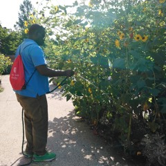 Can I look through your trash? Hobbyist gardener builds oasis from waste