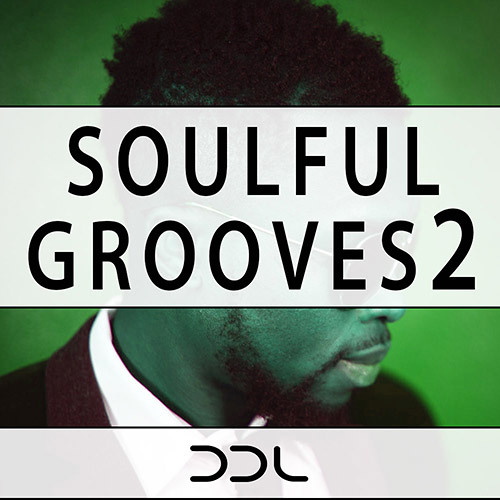 Deep Data Loops Soulful Grooves 2 WAV MiDi-DISCOVER