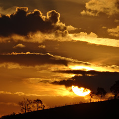 Fields at Dusk