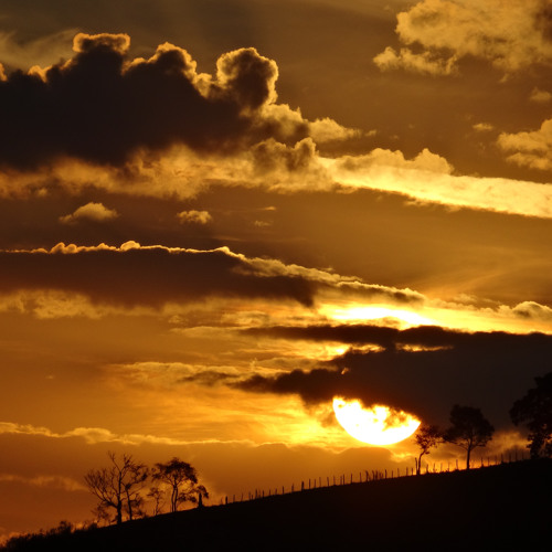 Fields at Dusk